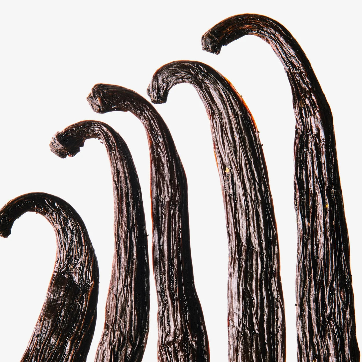 MIEL DORÉ 100ML HOMME