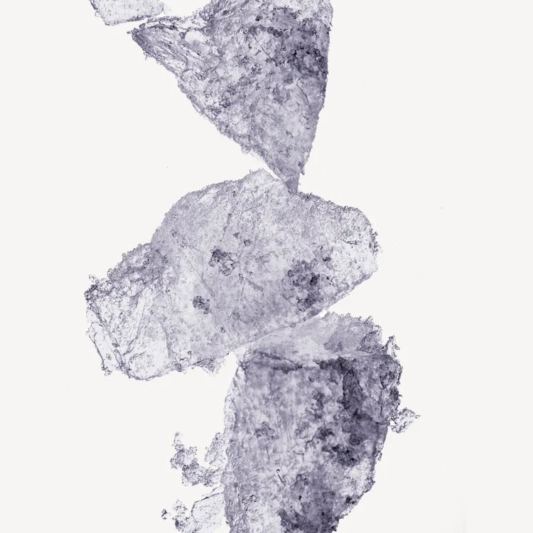 VOLZAK PARFUM  PARFUM ICONIC 100ML FEMME